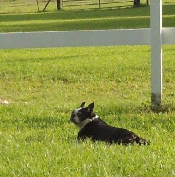 Meet your Posher, Linda - Picture 1 of 1